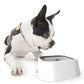 No Splash Dog Drinking Bowl